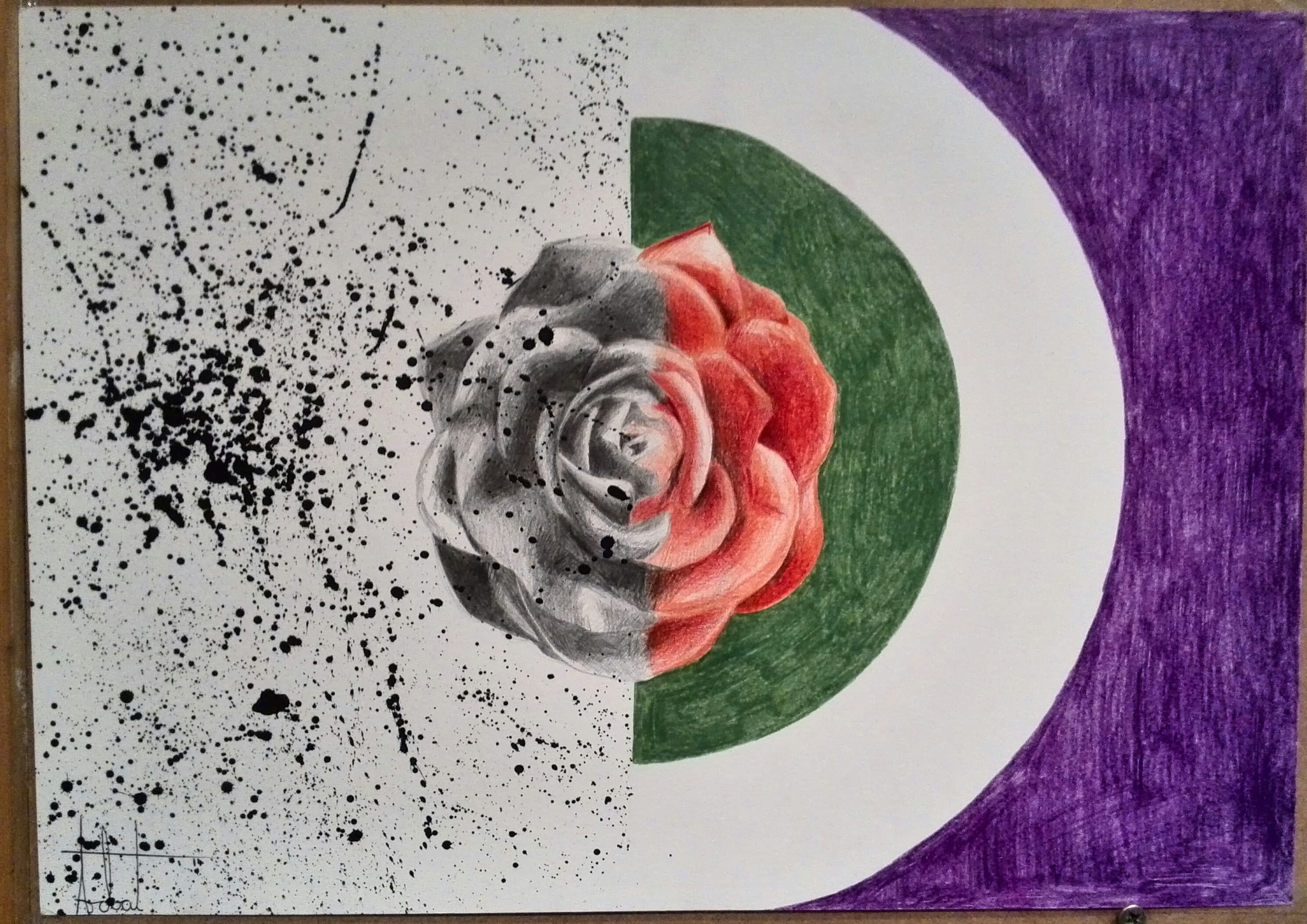 The Duality of the Rose
